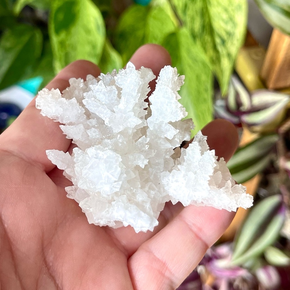🤍Raw Aragonite Cave Calcite Crystal Cluster Specimen🤍 - Picture 4 of 4